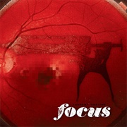 Torrent Vaccine - Focus
