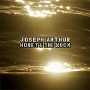 Honey and the Moon - Joseph Arthur