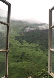 Twilight Saga (Stephanie Meyer)