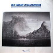 Billy Cobham's Glass Menagerie: Observations