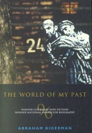 The World of My Past (Abraham Biderman)