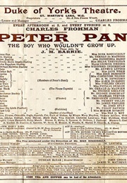 Peter Pan, Or, the Boy Who Wouldn't Grow Up (J.M. Barrie)