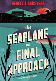The Seaplane on Final Approach (Rebecca Rukeyser)