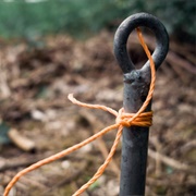 Fixing Point (Blast Theory)