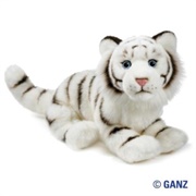 Signature White Bengal Tiger