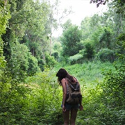 Take a Day Hiking Trip