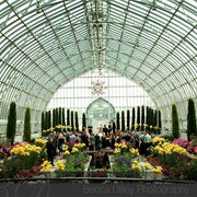 M. McNeely Conservatory, St. Paul