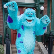 Sulley