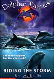 Riding the Storm (Ben M. Baglio)