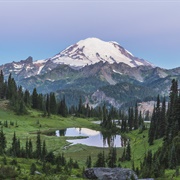 Mount Rainier National Park