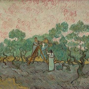 The Olive Pickers, Saint-Rémy, 1889 (Vincent Van Gogh)