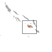 Montane Monkey-Faced Bat