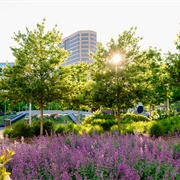 Lebauer Park, Greensboro, North Carolina, USA