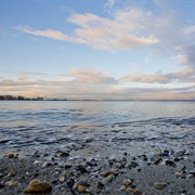 Boundary Bay Regional Park, Delta, BC