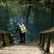 Wes Skiles Peacock Springs State Park