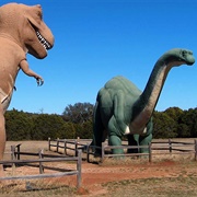 Dinosaur Valley State Park, Texas
