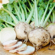 Vereduna Alba White Beets