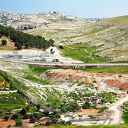 Shepherds' Fields, Bethlehem
