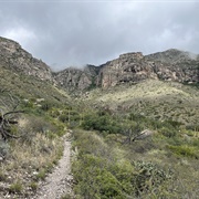 Smith Spring and Manzanita Spring Loop, Guadalupe Mountains NP