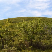 Bear Mountain (Connecticut)