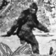 Investigate an Urban Legend