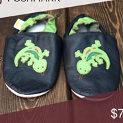 Green Lizard Slippers