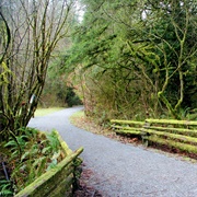 Derby Reach Regional Park, Langley, BC, Canada