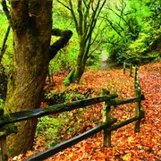 Anthony Chabot Regional Park