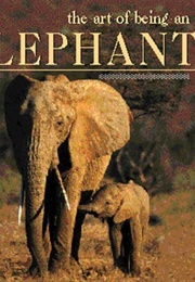 The Art of Being an Elephant (Christine Denis-Hout)