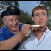 The Skipper and the Professor (Gilligan's Island)