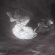 Glow - Alice Phoebe Lou