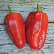 Buran Peppers