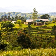 Croydon in the Mountains, Jamaica