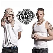 Calle 13