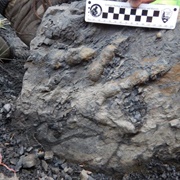 Denali National Park