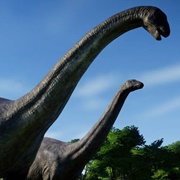 Apatosaurus