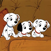 101 Dalmation