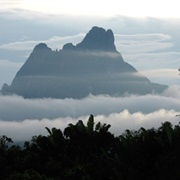 Pico De Neblina National Park, Brazil