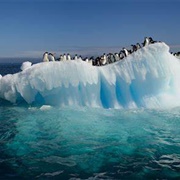 Antarctic Water