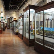 Indian Museum, Kolkata