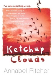 Ketchup Clouds (Annabel Pitcher)
