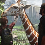 The Last of Us : Part I (2013)