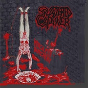 Splattered Cadaver