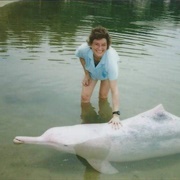 Dolphin Island, Sentosa