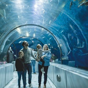 Quebec Aquarium