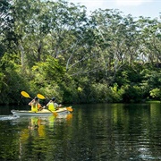 Lane Cove, NSW, Australia