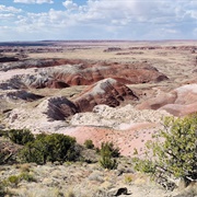 Painted Desert Rim Trail, Petrified Forest NP
