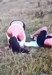 Morphosis (Tatiana Carusini) (2020)