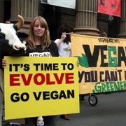 Advocate for Animal Rights