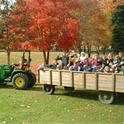 Gone on a Hayride